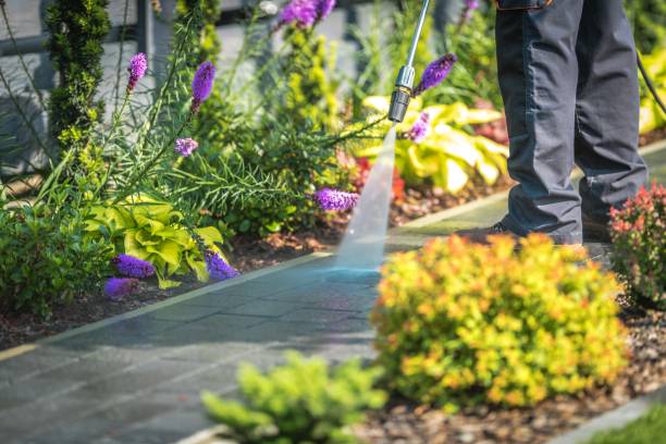 Reliable Pooler, GA Pressure Washing Services Solutions